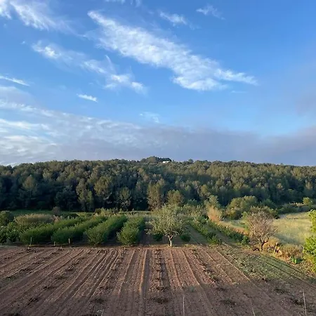Casa Del Raco, Turisme Rural Calma I Pedra A 14 Minuts De La Platja Ardenya